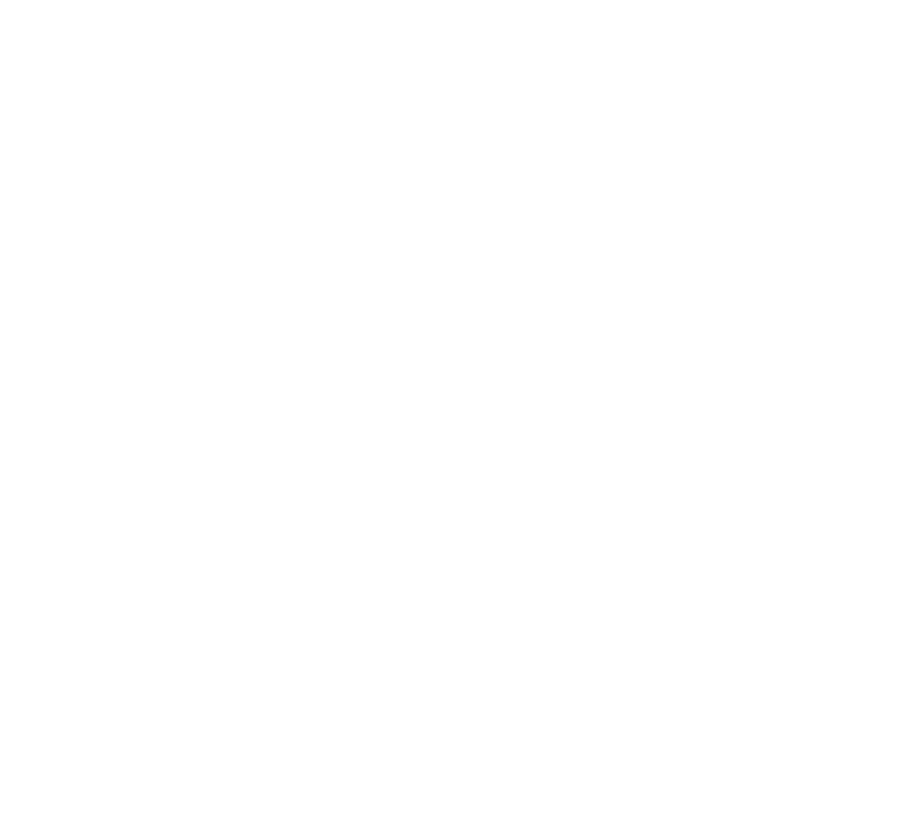 SoftEvolution powered by WCS, full logo
